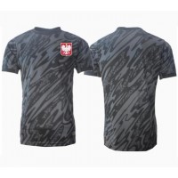 Camisa de time de futebol Polónia Goleiro Replicas 2º Equipamento Europeu 2024 Manga Curta